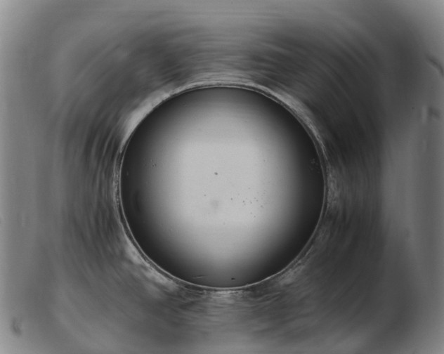 X0000103481390200809191849