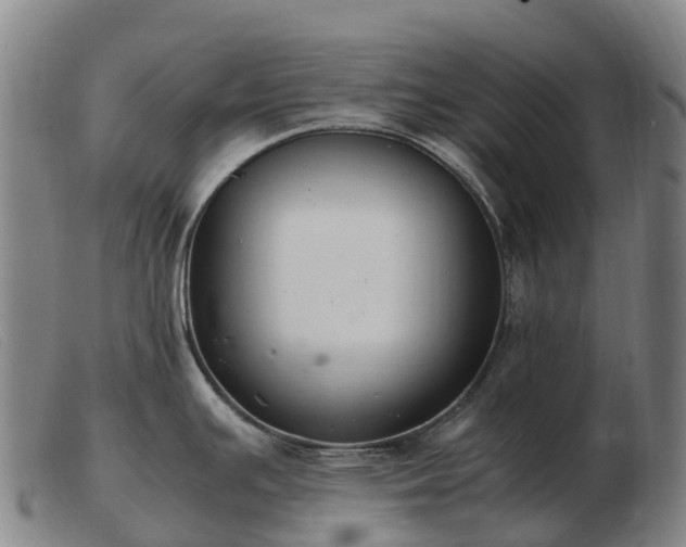 X0000103481391200809191849