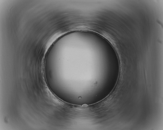 X0000103481392200809191849