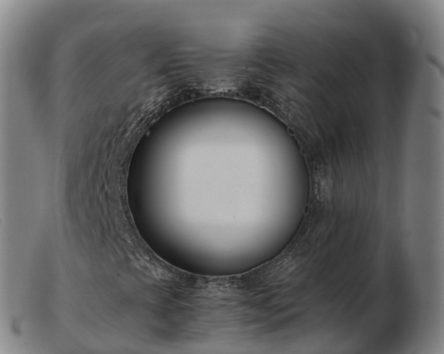X0000103481393200809191848
