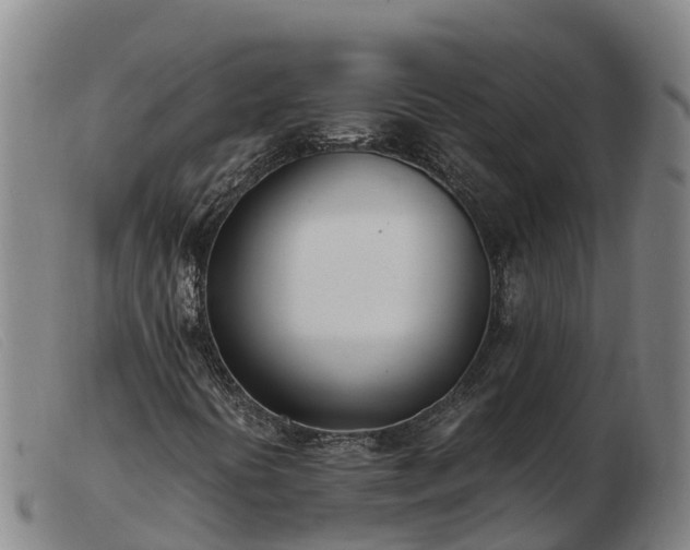 X0000103481394200809191848