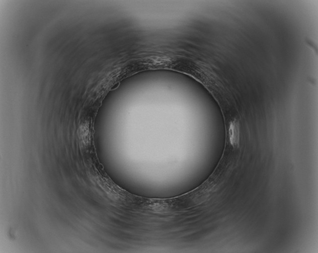 X0000103481395200809191848