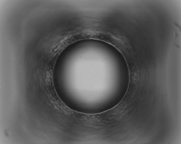X0000103481397200809191848
