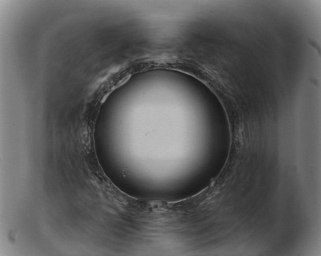 X0000103481398200809191848