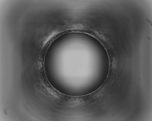 X0000103481400200809191848