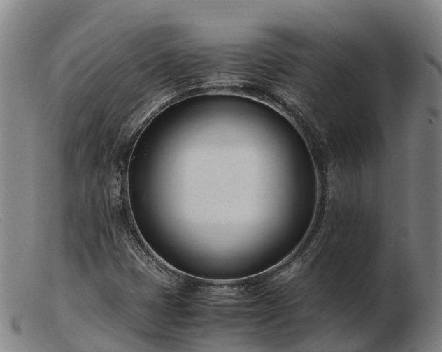 X0000103481401200809191848