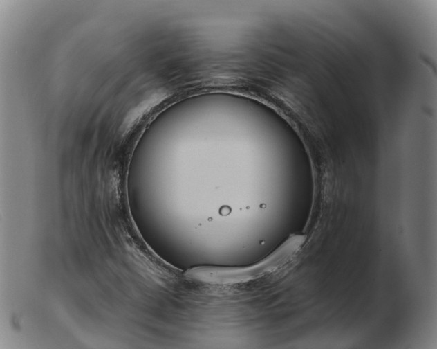 X0000103481402200809191848