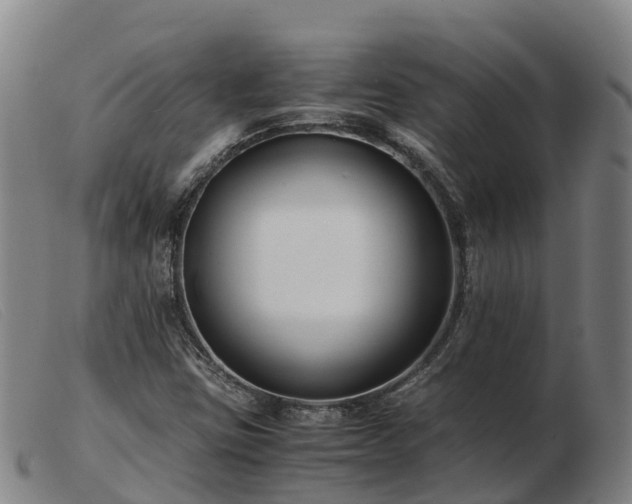 X0000103481403200809191848