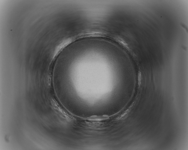 X0000103481405200809191848