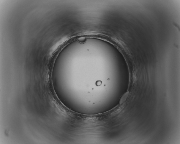 X0000103481406200809191848