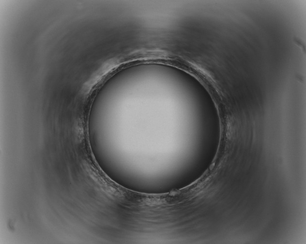 X0000103481407200809191848