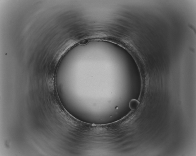 X0000103481409200809191848