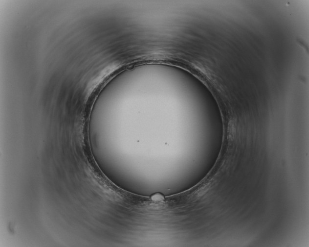 X0000103481410200809191848