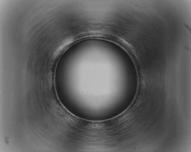 X0000103481411200809191848