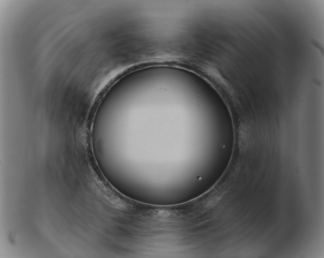 X0000103481412200809191848