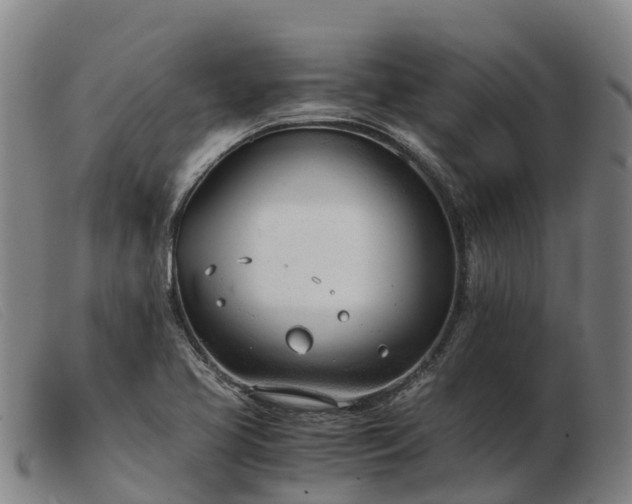 X0000103481413200809191848