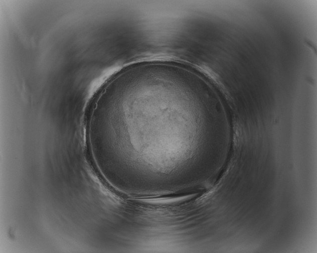 X0000103481414200809191848
