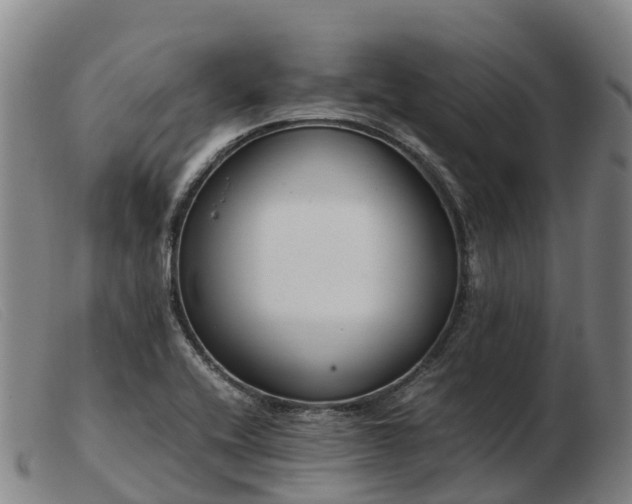 X0000103481416200809191848
