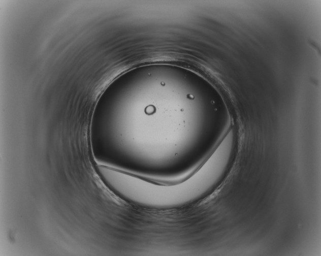 X0000103481417200809191848