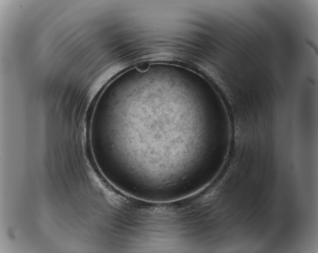 X0000103481418200809191848