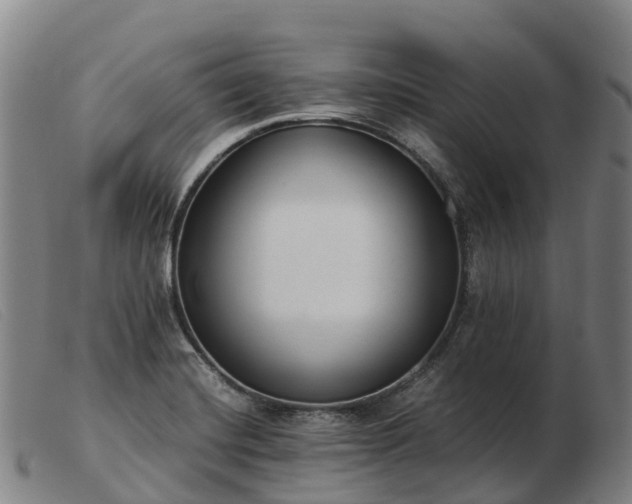 X0000103481420200809191848