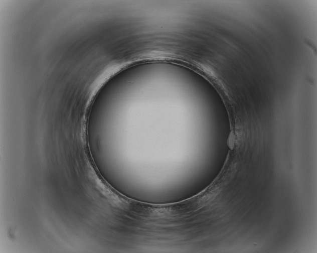X0000103481421200809191848