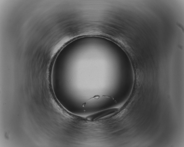 X0000103481422200809191848