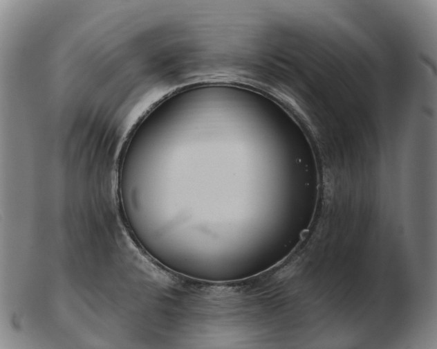 X0000103481424200809191848