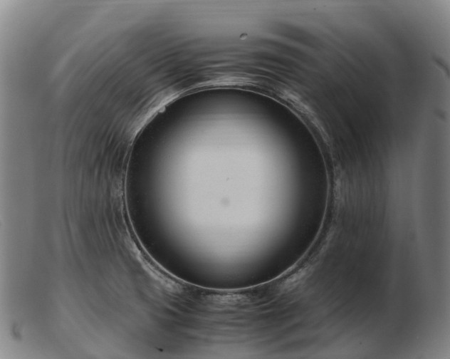 X0000103481425200809191848