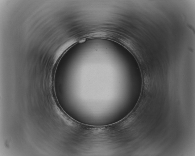 X0000103481426200809191848