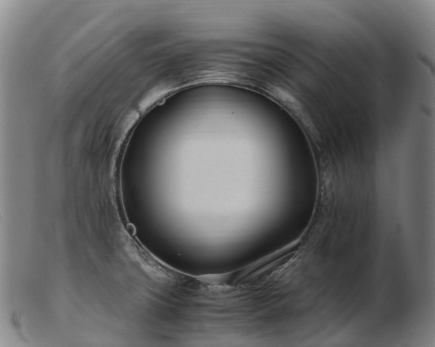 X0000103481427200809191848