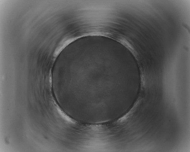 X0000103481428200809191848