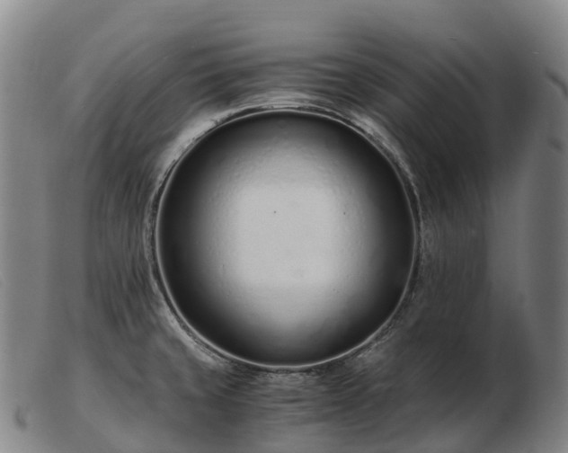 X0000103481429200809191848