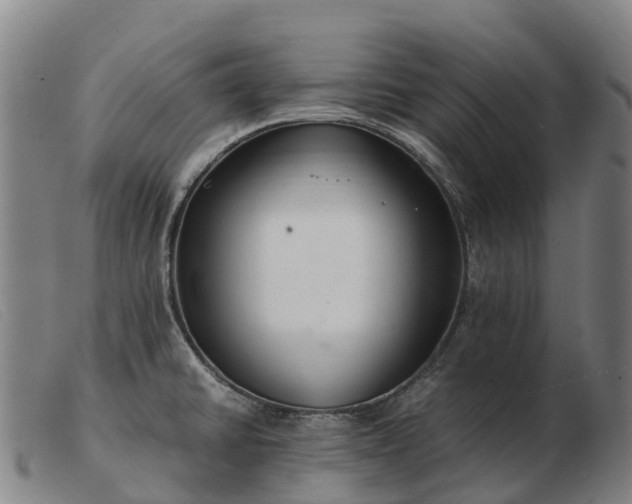 X0000103481430200809191848