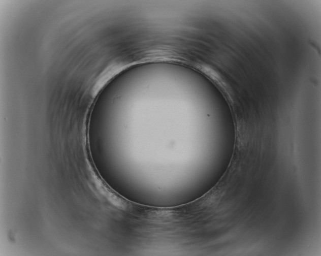 X0000103481431200809191848