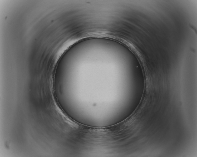X0000103481432200809191848