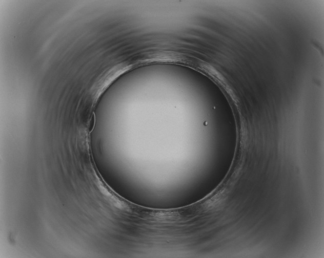 X0000103481433200809191848