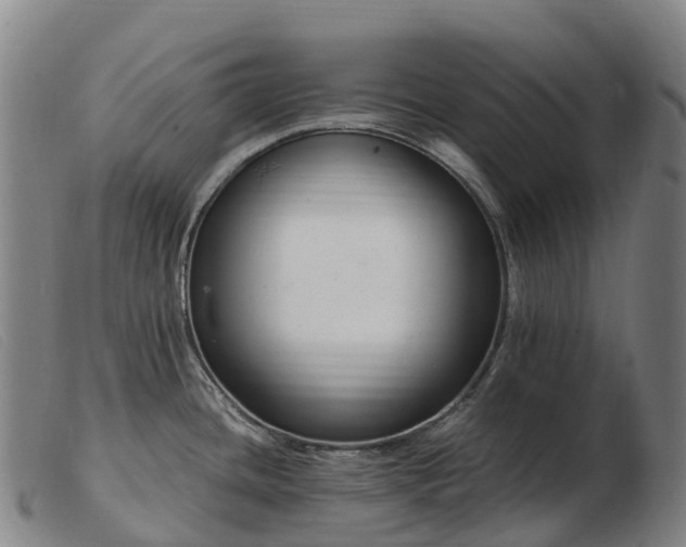 X0000103481436200809191849