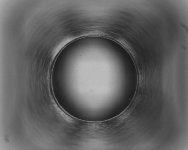 X0000103481438200809191849