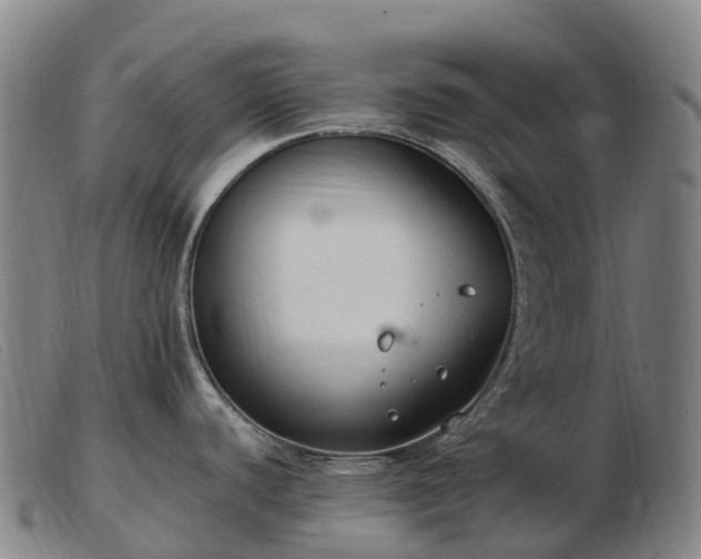 X0000103481440200809191849