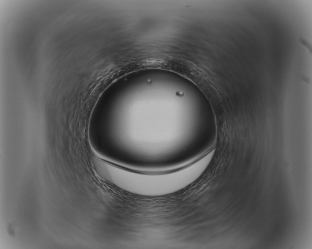 X0000103481441200809191848