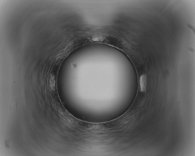X0000103481443200809191848
