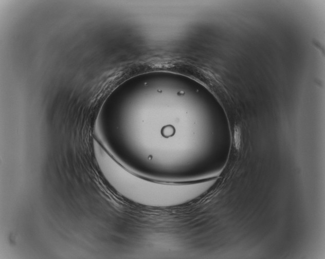 X0000103481444200809191848