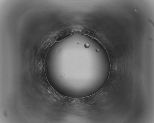 X0000103481445200809191848