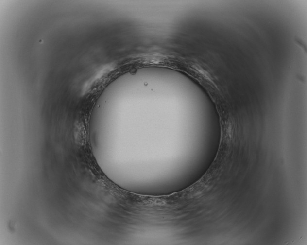 X0000103481446200809191848