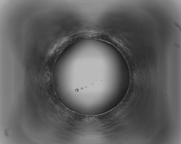 X0000103481447200809191848