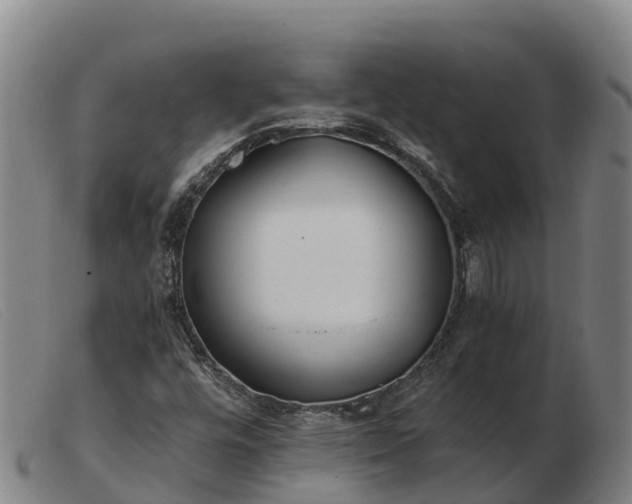 X0000103481448200809191848