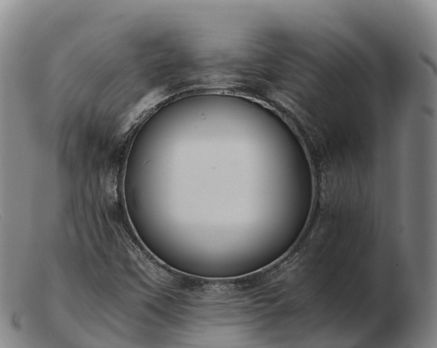 X0000103481451200809191848
