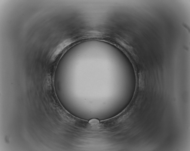 X0000103481453200809191848