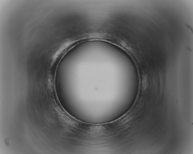 X0000103481454200809191848